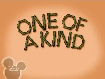 One of a Kind