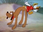 Pluto tries to shake Donald off