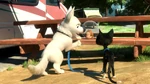 Bolt, Mittens and Rhino.