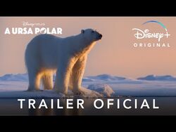 A Ursa Polar, Disney Wiki