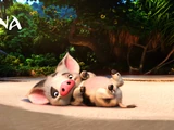 Pua (Moana)/Galería