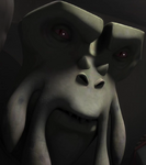 Oked (Star Wars: The Clone Wars)