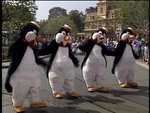Penguins in Disneyland Fun