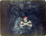 Tumblr muovgfzxwq1ro99alo1 1280.jpg (184 KB) An old version of the skull from Walt Disney World