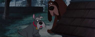 Lady-tramp-disneyscreencaps.com-7169