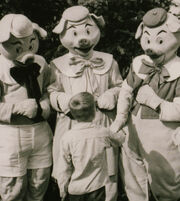 ThreeLittlePigs1955Disneyland