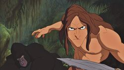 Tarzan Disney Wiki Fandom
