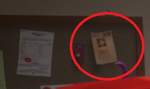 Bolt's cameo on a "lost dog" flyer in Pac-Man in Wreck-It Ralph