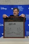 Mark Hamill Disney Legend D23 Expo17.jpg (87 KB) Mark Hamill named a Disney Legend at the 2017 D23 Expo.