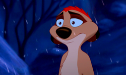 Timon in The Lion King 1½.