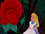 Alice-disneyscreencaps.com-3401