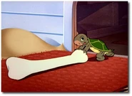 42907.jpg (231 KB) The Turtle in Pluto's Housewarming