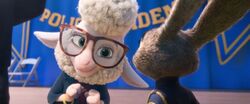 Bellwether congratulating Judy