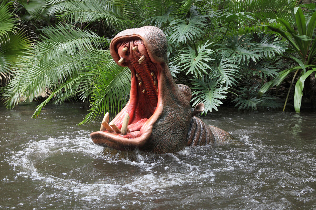 Giant Frogs, Jungle Cruise Wiki