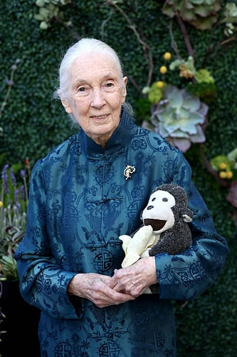 Jane Goodall
