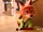 Nick Wilde/Gallery