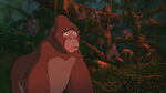 Kala is shocked after Tarzan fights Kerchak.