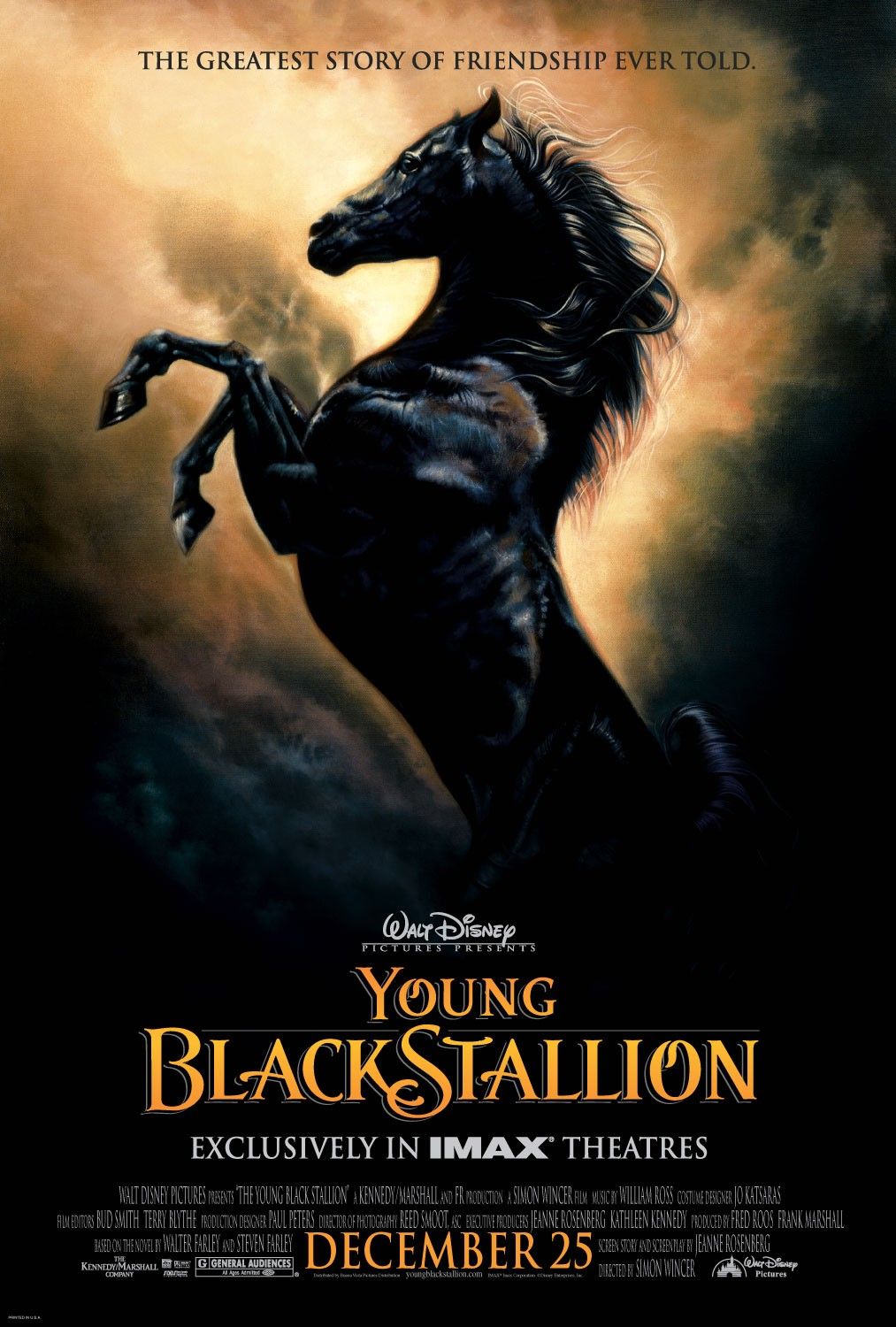 The Young Black Stallion | Disney Wiki - Fandom