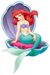 Ariel in shell