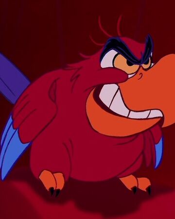 Iago Disney Wiki Fandom A page for describing funny: iago disney wiki fandom
