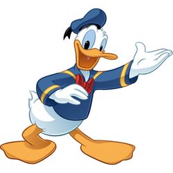 Donald Duck, Disney Wiki