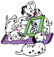 Dalmatianpuppies