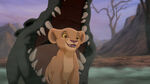 Lion-king2-disneyscreencaps com-1184