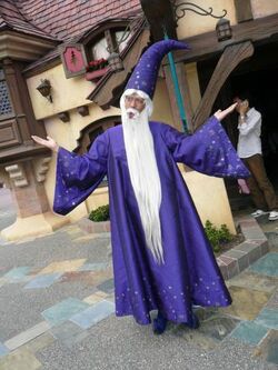 Merlin HKDL