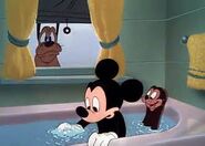 Mickey seal and pluto