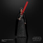 SW-The Black Series-Dark Side Rey