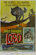 1962-lobo-1