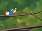 Donald Duck - Out On A Limb 195041