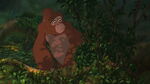 Kala watches Tarzan teaching Jane how to speak gorilla