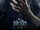 Black Panther Character Posters 07.jpg