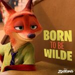 Born To Be Wilde