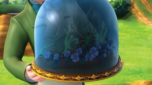 Crown of the Gnomes