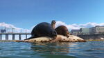 Gerald finally sneaks onto the rock unnoticed.