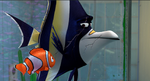 Gill catches Nemo looking at his messed up fin