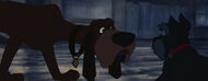 Lady-tramp-disneyscreencaps.com-8218