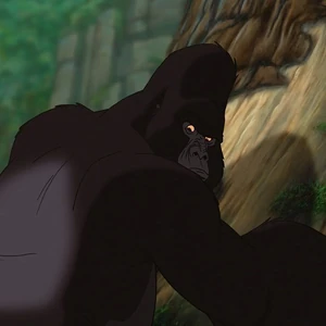 Kerchak Gallery Disney Wiki Fandom Tarzan shame of jane 💕 love story of tarzan💞 short film.