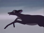 Bambi-disneyscreencaps.com-4678