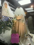 El Capitan MMW exhibit 02.jpg (96 KB)