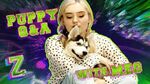 Meg Donnelly Puppy Q&A Challenge! 🐶 ZOMBIES 2 Disney Channel