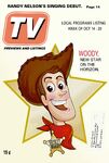 Woody's Roundup design (5)