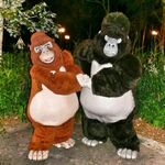 Kala with Kerchak at one of the Disney Parks.