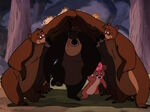 A look-alike/prototype of Baloo from Bongo (the first bear to the right).