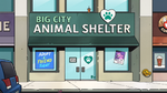 Big City Animal Shelter