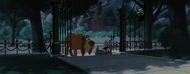 Lady-tramp-disneyscreencaps.com-7057