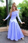 Aurora blue redesign.jpg (213 KB) A mock-up of Aurora's redesign at Disney Parks in her blue dress
