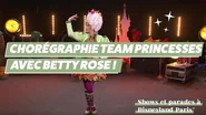 Team Princess Tutoriel